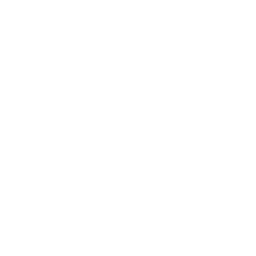 Shield Crash