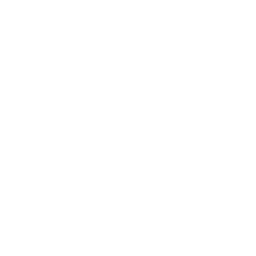 Trigger Signal