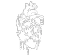 Transfusion
