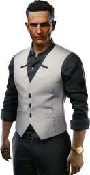 Flavio dos Santos