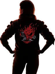 V (Konzerner)