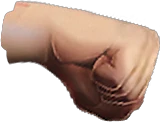 Fists