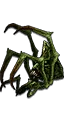 Typhons Tibia