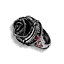 Circle of Nailuj's Evol