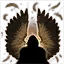 Falcon's Wings
