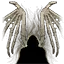 Skeletal Wings