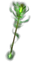 Wormwood