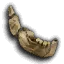 Human Cartilage