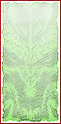 Diablo III