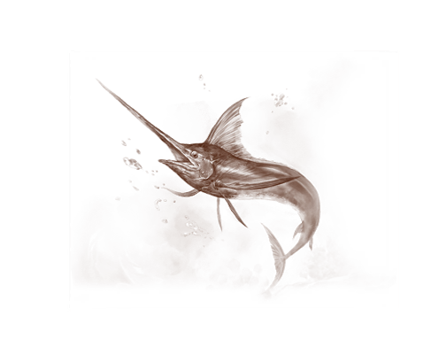 Swordfish