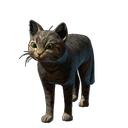 Pets – Adopt A Cat