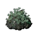 Underwater Luminous Growth