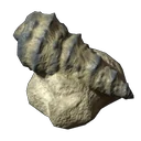Einzelner Gastropode