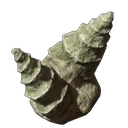 Gastropoden