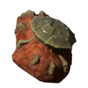 Krabbenfossil
