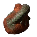 Garnelenfossil