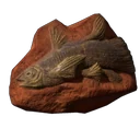 Fischfossil
