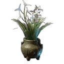 White Cymbidum Flower