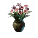 Pink Lily Flower
