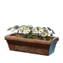 Weiße Blume