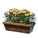 Yellow Flower