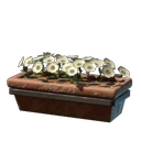 White Wall Flower
