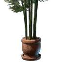 Bambuspflanze