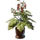 Greifpflanzen Blüte