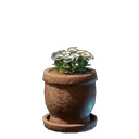 Weiße Blume