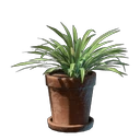 Grass