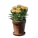 Yellow Flower