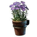 Pink Wall Flower