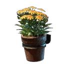 Yellow Wall Flower