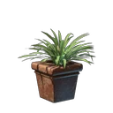 Grass