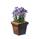 Pink Flower