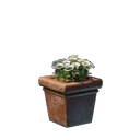 Weiße Blume