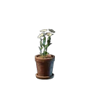 Weiße Blume