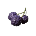 Lila Beeren