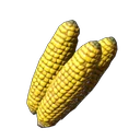 Corncob