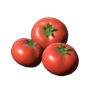 Tomate