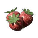 Erdbeere