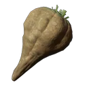 Waldrübe