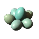 Eier