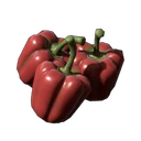 Paprika