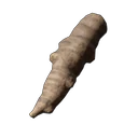 Greifpflanze