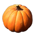 Kürbis