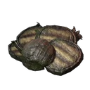 Grilled Algae Buds