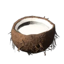 Coconut Milk