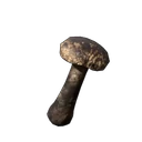 Roasted Shiitake Mushroom