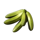 Kochbanane